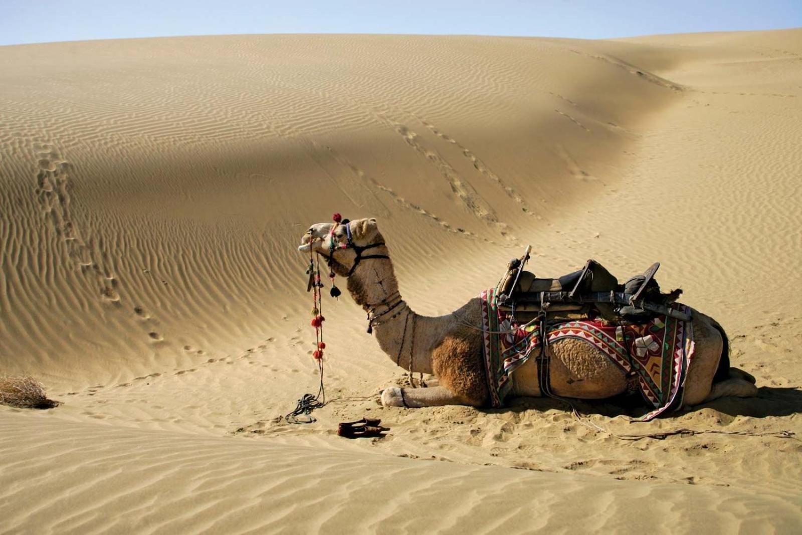 Sam Dunes Desert Luxury Camp & Resort Jaisalmer Exterior foto