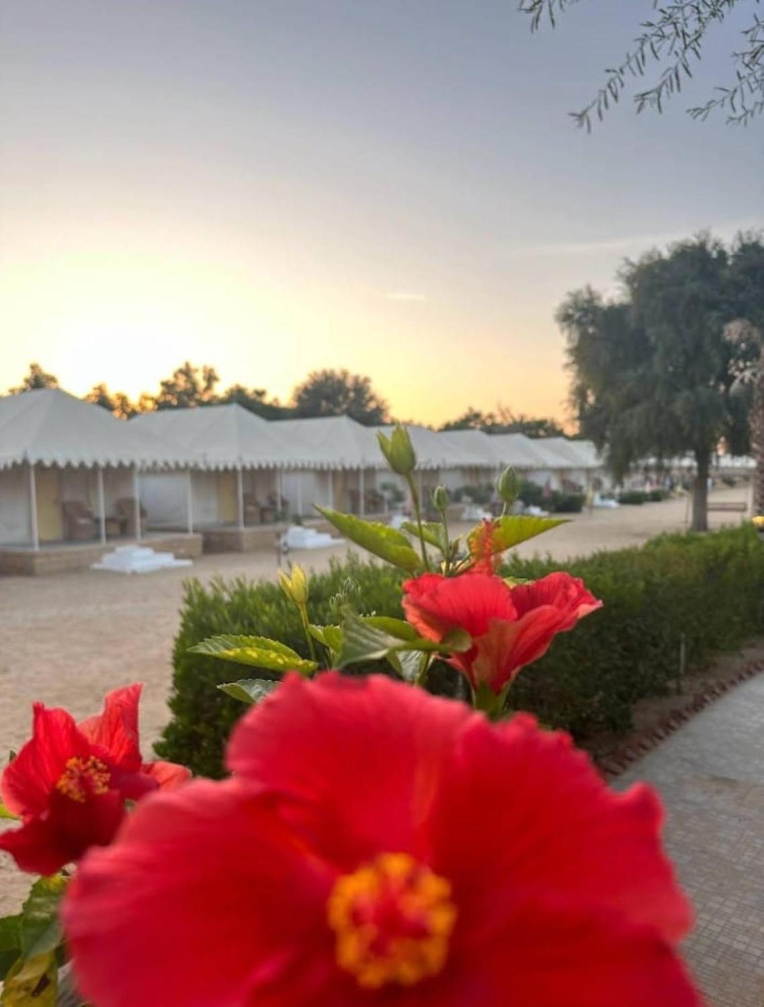 Sam Dunes Desert Luxury Camp & Resort Jaisalmer Exterior foto